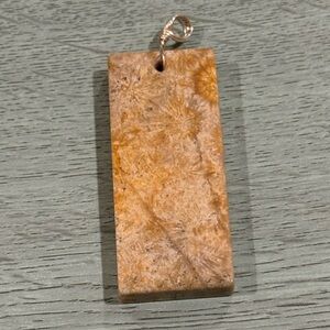 Fossilized Coral Pendant